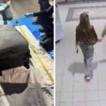 Ταϊλάνδη: Το κίνητρο πίσω από τη δολοφονία της 17χρονης που βρέθηκε μέσα σε βαλίτσα ΒΙΝΤΕΟ