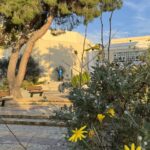 Εγγραφές στο καλοκαιρινό αθλητικό camp του ΑΕΙ Πάτρας