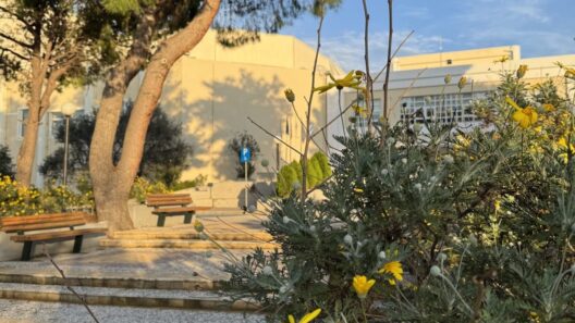 Εγγραφές στο καλοκαιρινό αθλητικό camp του ΑΕΙ Πάτρας 39 Εγγραφές στο καλοκαιρινό αθλητικό camp του ΑΕΙ Πάτρας