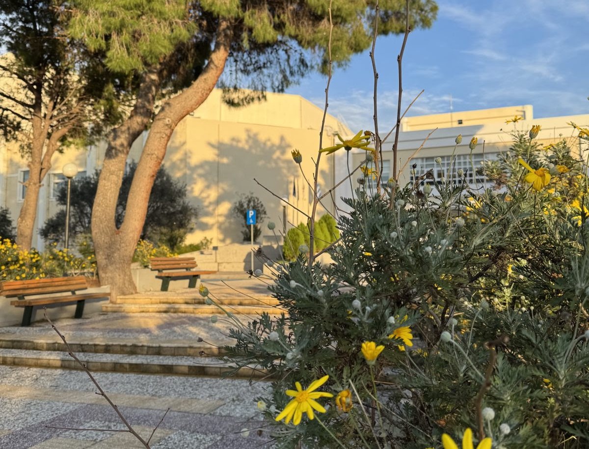 Εγγραφές στο καλοκαιρινό αθλητικό camp του ΑΕΙ Πάτρας