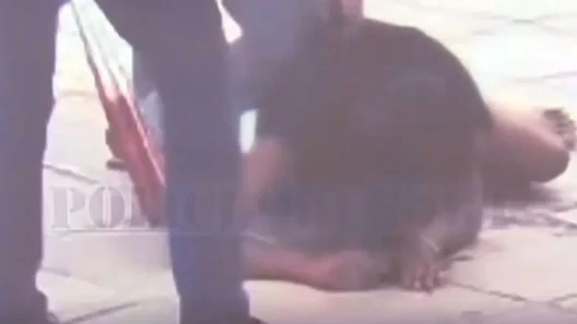 Καλλιθέα: Ποινικές διώξεις για το επεισόδιο του ομογενή με τους δύο Αιγύπτιους 37 Καλλιθέα: Ποινικές διώξεις για το επεισόδιο του ομογενή με τους δύο Αιγύπτιους