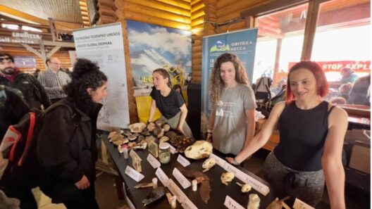 Ο ΟΦΥΠΕΚΑ στο Helmos Mountain Festival με δράσεις γνωριμίας του Χελμού 36 Επισκέπτες εξετάζουν εκθέματα ζώων και πετρωμάτων σε περίπτερο το…
