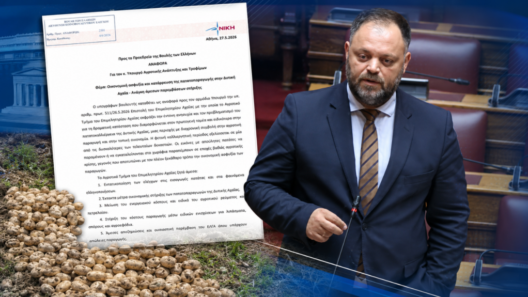 «Πληρώνουν το κόστος της κυβερνητικής αδράνειας» 36 «Πληρώνουν το κόστος της κυβερνητικής αδράνειας»