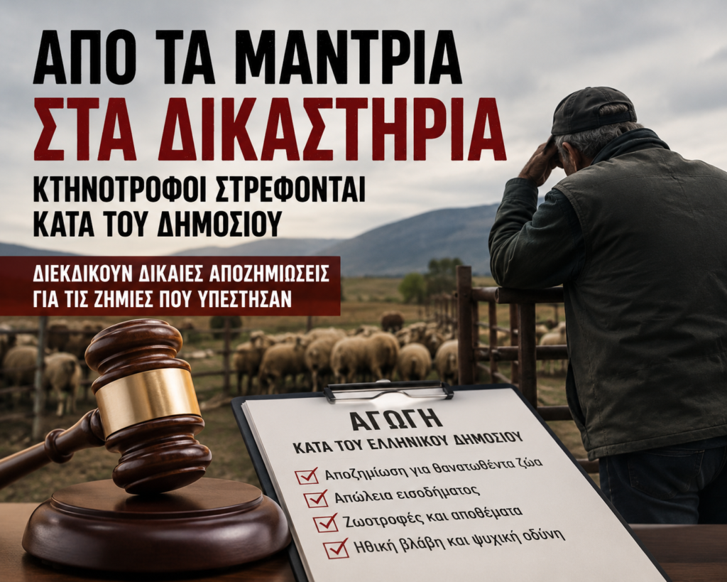 «Από τα μαντριά στα Δικαστήρια, οι Κτηνοτρόφοι που στρέφονται κατά του Δημοσίου» 27 «Από τα μαντριά στα Δικαστήρια, οι Κτηνοτρόφοι που στρέφονται κατά του Δημοσίου»