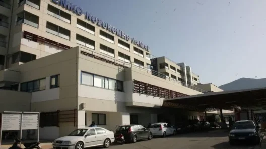 Λαμία: Πάνω από 20 άτομα στο νοσοκομείο με σαλμονέλα 13 Λαμία: Πάνω από 20 άτομα στο νοσοκομείο με σαλμονέλα