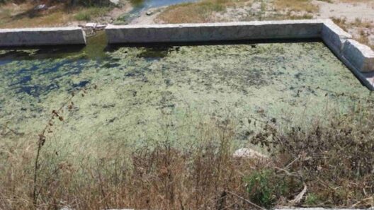 Δυτική Αχαΐα: Η αντιπολίτευση εγκαλεί τον δήμαρχο για τα Ιαματικά Λουτρά Αράξου ΦΩΤΟ 39 Δυτική Αχαΐα εγκαλεί τον δήμαρχο