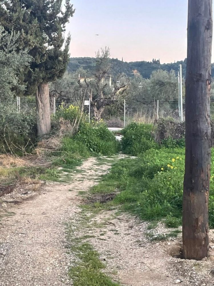 Τσουκαλέικα: Θα τους κάψουν σαν τα ποντίκια και απαιτείται Εισαγγελική παρέμβαση ΦΩΤΟ