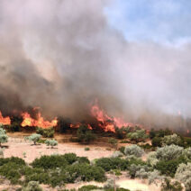 Στο έλεος των πυρκαγιών η χώρα – 112 για Βοιωτία και Αργολίδα, αναζωπυρώσεις στην Πάρο ΦΩΤΟ 1 Στο έλεος των πυρκαγιών η χώρα – 112 για Βοιωτία και Αργολίδα, αναζωπυρώσεις στην Πάρο ΦΩΤΟ