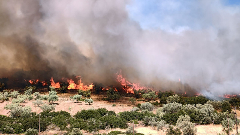 Ελλάδα: Σε πύρινο κλοιό με πολλές πυρκαγιές κα συναγερμό για νέες ΝΕΟΤΕΡΑ