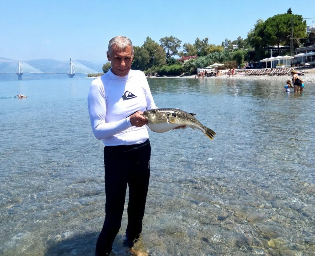Πάτρα: Παρέμβαση-καταπέλτης από τον Καθηγητή του Πανεπιστημίου Γιώργο Χώτο - «Όχι στην υστερία και κινδυνολογία για τον λαγοκέφαλο»