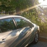 Πάτρα: Κινδυνεύουν πεζοί και οχήματα από πτώσεις δέντρων στην Μεταμόρφωση Σωτήρος ΦΩΤΟ