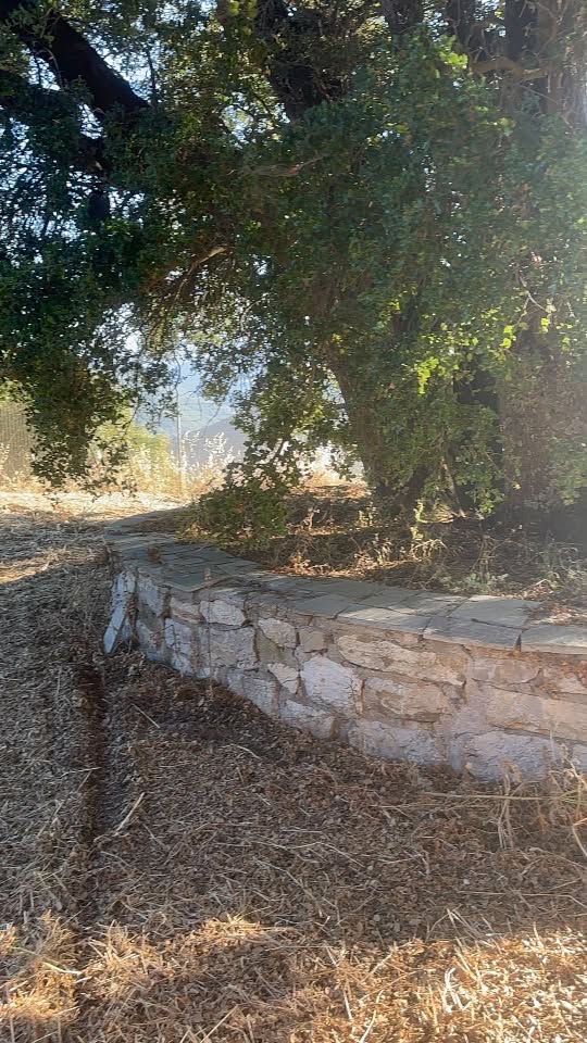 Ετοιμασίες για το Λαπαναΐτικο Συναπάντημα ΦΩΤΟ 41 Ετοιμασίες για το Λαπαναΐτικο Συναπάντημα ΦΩΤΟ