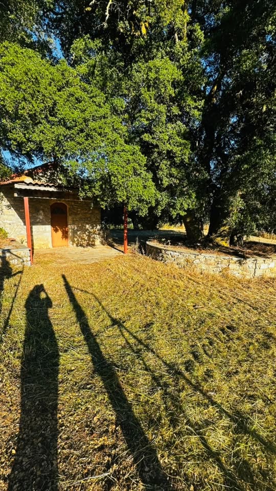 Ετοιμασίες για το Λαπαναΐτικο Συναπάντημα ΦΩΤΟ 40 Ετοιμασίες για το Λαπαναΐτικο Συναπάντημα ΦΩΤΟ