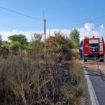 Αχαΐα: Πυρκαγιά στην Πατρών-Τριπόλεως σήμανε συναγερμό ΦΩΤΟ
