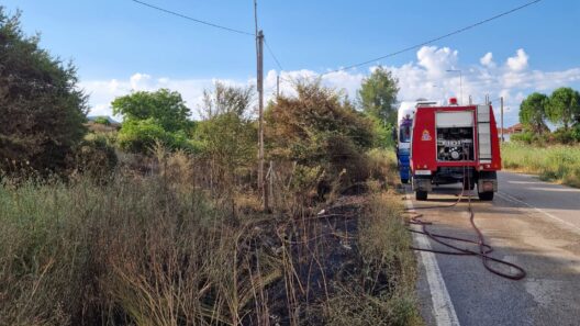 Πυρκαγιά στην ΕΟ Πατρών-Τριπόλεως σημάνει συναγερμό από γη και αέρ…
