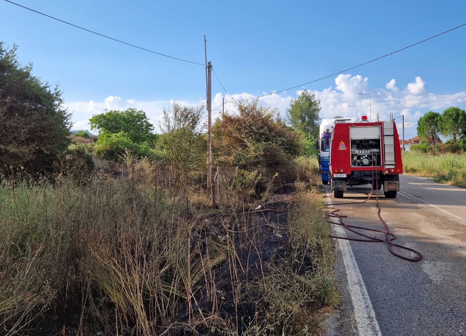 Αχαΐα: Πυρκαγιά στην Πατρών-Τριπόλεως σήμανε συναγερμό ΦΩΤΟ 4 Πυρκαγιά στην ΕΟ Πατρών-Τριπόλεως σημάνει συναγερμό από γη και αέρ…