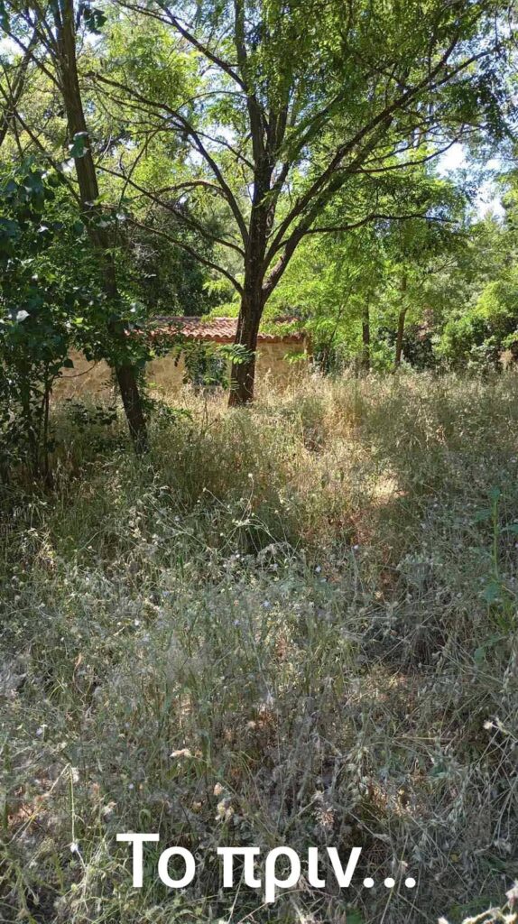 Ο Σύλλογος «Πρόοδος» Ζήριας καθάρισε χορτάρια για την γιορτή του ΦΩΤΟ 9 Ο Σύλλογος «Πρόοδος» Ζήριας καθάρισε χορτάρια για την γιορτή του ΦΩΤΟ