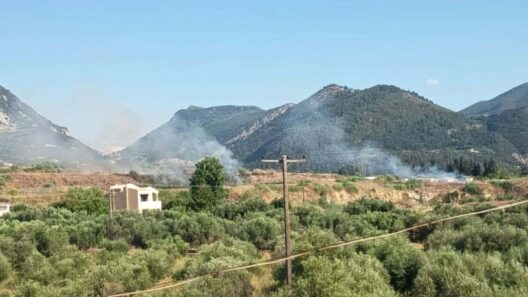Εγλυκάδα: Φωτιά, με δύο εστίες και πάλι στον καταυλισμό Ρομά του Ριγανόκαμπου 38 Εγλυκάδα: Φωτιά, με δύο εστίες και πάλι στον καταυλισμό Ρομά του Ριγανόκαμπου
