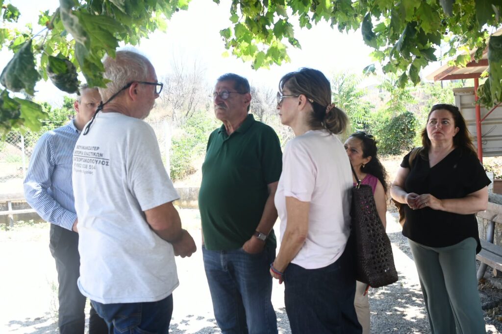 Πάτρα: Κοντέινερς σε δύο περιοχές για πληγείσες οικογένειες μετά την καταστροφική πυρκαγιά ΦΩΤΟ 28 Πάτρα: Κοντέινερς σε δύο περιοχές για πληγείσες οικογένειες μετά την καταστροφική πυρκαγιά ΦΩΤΟ