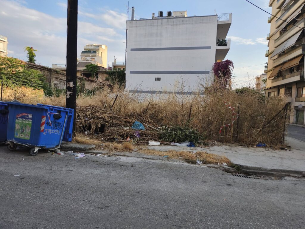 Πάτρα: Ο Δήμος ξέχασε κλαδιά, εδώ και εβδομάδες, μετά από κλάδεμα σε γειτονιά ΦΩΤΟ