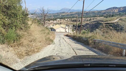 Πάτρα: Ξερά χόρτα «κατάπιαν» δρόμο, με τους κατοίκους να ζουν υπό τον φόβο πυρκαγιάς ΦΩΤΟ 13 Νέα χόρτα στην Πάτρα
