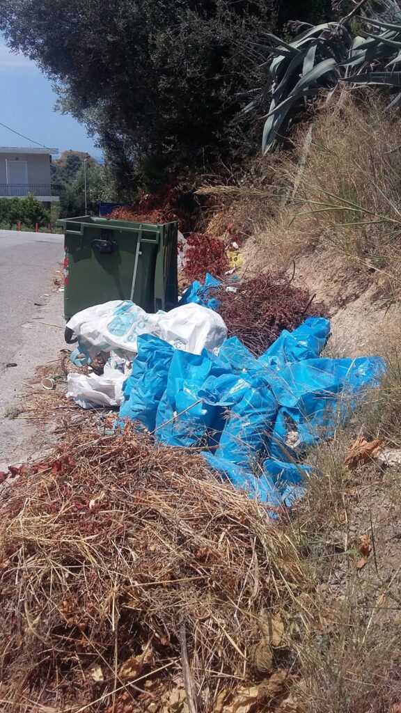 Ανθούπολη: Ξερά κλαδιά «έτοιμα για προσάναμμα» στον Προφήτη Ηλία ΦΩΤΟ