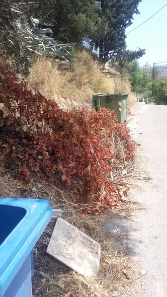 Ανθούπολη: Ξερά κλαδιά «έτοιμα για προσάναμμα» στον Προφήτη Ηλία ΦΩΤΟ 7 Ανθούπολη: Ξερά κλαδιά «έτοιμα για προσάναμμα» στον Προφήτη Ηλία ΦΩΤΟ