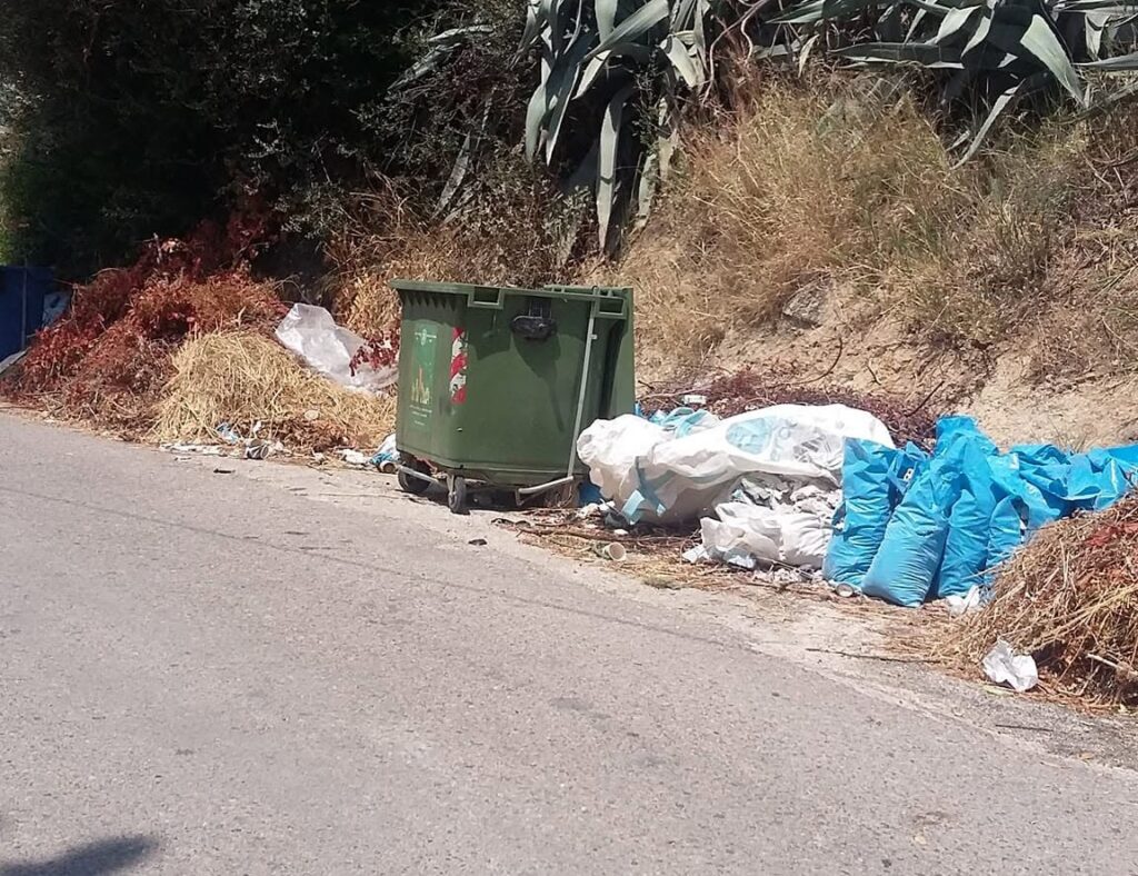 Ανθούπολη: Ξερά κλαδιά «έτοιμα για προσάναμμα» στον Προφήτη Ηλία ΦΩΤΟ