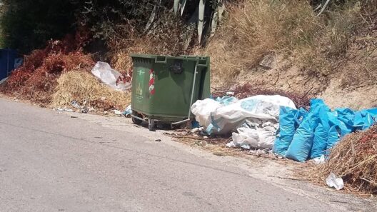 Ανθούπολη: Ξερά κλαδιά «έτοιμα για προσάναμμα» στον Προφήτη Ηλία ΦΩΤΟ