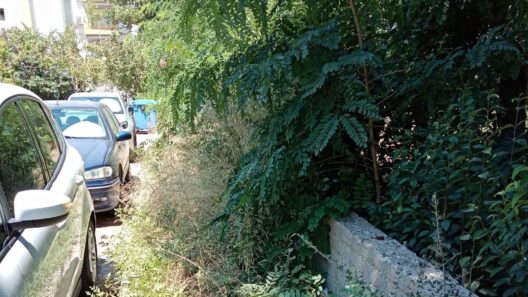 Πάτρα: Πεζοδρόμια-ζούγκλες, επικίνδυνες εστίες μόλυνσης, επί εξάμηνο ΦΩΤΟ 15 Πάτρα: Πεζοδρόμιο-ζωγράφισαν παιδιά σε μολύβι