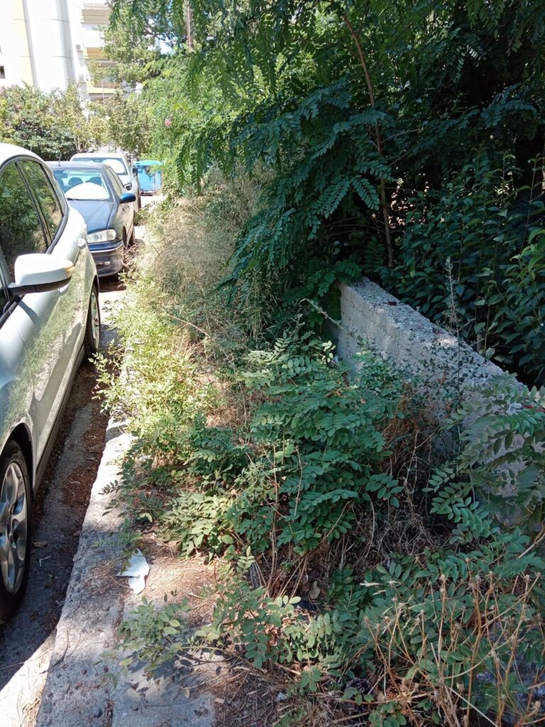 Πάτρα: Πεζοδρόμια-ζούγκλες, επικίνδυνες εστίες μόλυνσης, επί εξάμηνο ΦΩΤΟ