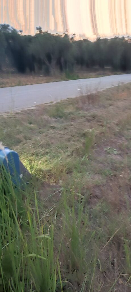 Δυτική Αχαΐα: Τριτοκοσμικές εικόνες, με μαλλιά προβάτων, στον δρόμο Φράγκα – Σαγέικα 10 Δυτική Αχαΐα: Τριτοκοσμικές εικόνες, με μαλλιά προβάτων, στον δρόμο Φράγκα – Σαγέικα