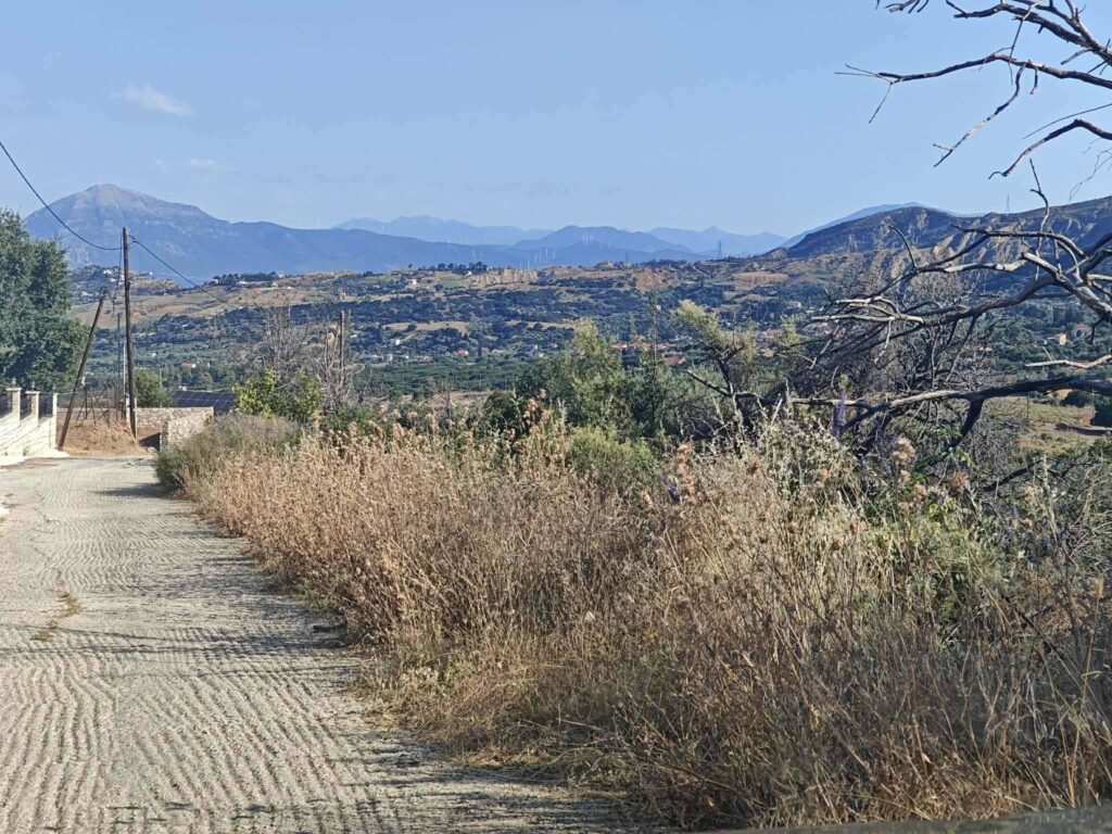 Πάτρα: Ξερά χόρτα «κατάπιαν» δρόμο, με τους κατοίκους να ζουν υπό τον φόβο πυρκαγιάς ΦΩΤΟ 6 Πάτρα: Ξερά χόρτα «κατάπιαν» δρόμο, με τους κατοίκους να ζουν υπό τον φόβο πυρκαγιάς ΦΩΤΟ