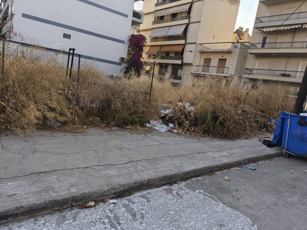 Κλαδιά σε γειτονιά