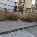 Πάτρα: Ο Δήμος ξέχασε κλαδιά, εδώ και εβδομάδες, μετά από κλάδεμα σε γειτονιά ΦΩΤΟ