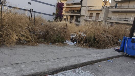 Κλαδιά σε γειτονιά