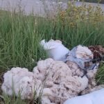 Δυτική Αχαΐα: Τριτοκοσμικές εικόνες, με μαλλιά προβάτων δίπλα σε πολυσύχναστο δρόμο