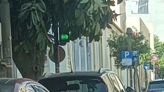 Πάτρα: Φανάρι-«φάντασμα» και παγίδα, κρυμμένο σε δέντρα και ημιλειτουργικό ΦΩΤΟ 13 Φωτογραφία από Πατρα