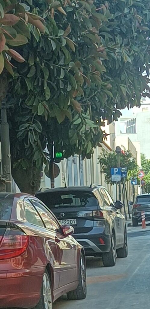 Πάτρα: Φανάρι-«φάντασμα» και παγίδα, κρυμμένο σε δέντρα και ημιλειτουργικό ΦΩΤΟ 4 Πάτρα: Φανάρι-«φάντασμα» και παγίδα, κρυμμένο σε δέντρα και ημιλειτουργικό ΦΩΤΟ