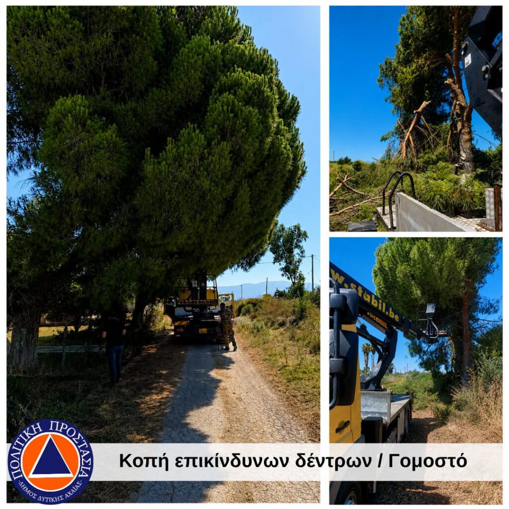 Δυτική Αχαΐα: Απομάκρυνση ξερών χόρτων και εύφλεκτων υλικών με τον φόβο πυρκαγιών ΦΩΤΟ