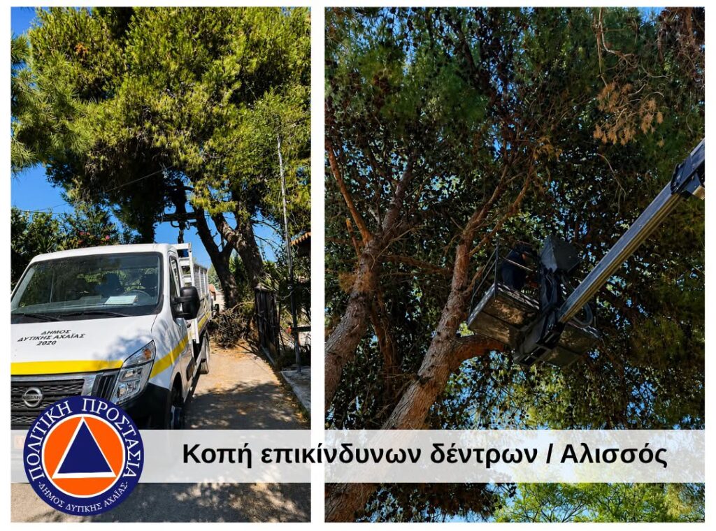 Δυτική Αχαΐα: Απομάκρυνση ξερών χόρτων και εύφλεκτων υλικών με τον φόβο πυρκαγιών ΦΩΤΟ