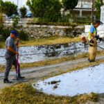 Δυτική Αχαΐα: Επιχείρηση «καθαρά οικόπεδα» με εύφλεκτη βλάστηση, με τον φόβο να καούν ΦΩΤΟ