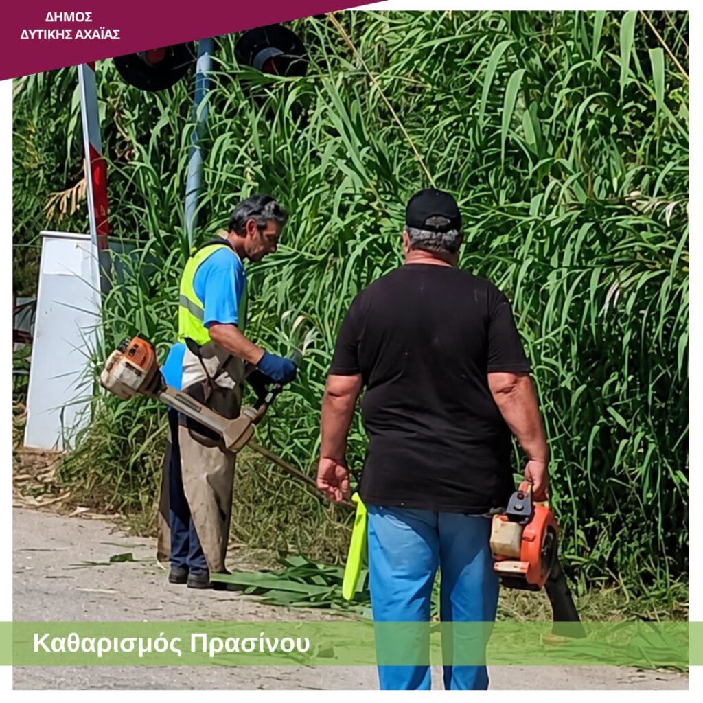 Δυτική Αχαΐα: Επιχείρηση «καθαρά οικόπεδα» με εύφλεκτη βλάστηση, με τον φόβο να καούν ΦΩΤΟ