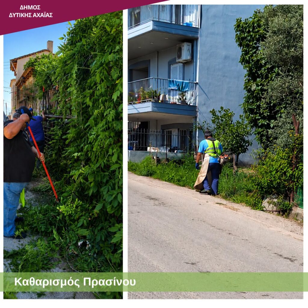 Δυτική Αχαΐα: Επιχείρηση «καθαρά οικόπεδα» με εύφλεκτη βλάστηση, με τον φόβο να καούν ΦΩΤΟ