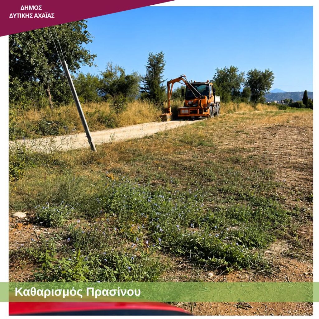 Δυτική Αχαΐα: Επιχείρηση «καθαρά οικόπεδα» με εύφλεκτη βλάστηση, με τον φόβο να καούν ΦΩΤΟ