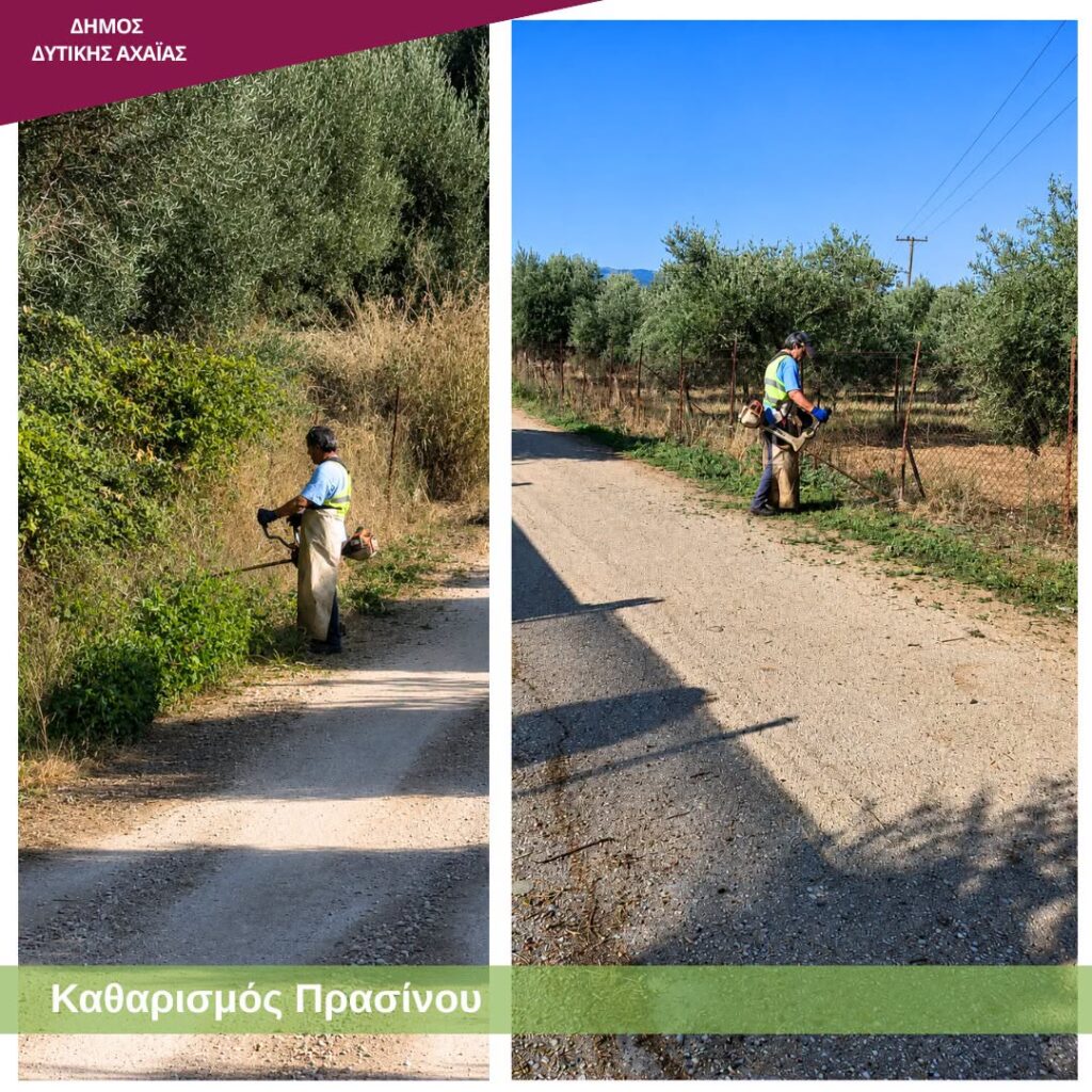 Δυτική Αχαΐα: Επιχείρηση «καθαρά οικόπεδα» με εύφλεκτη βλάστηση, με τον φόβο να καούν ΦΩΤΟ