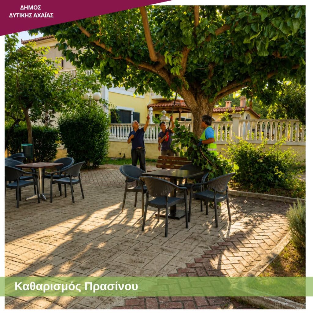 Δυτική Αχαΐα: Επιχείρηση «καθαρά οικόπεδα» με εύφλεκτη βλάστηση, με τον φόβο να καούν ΦΩΤΟ
