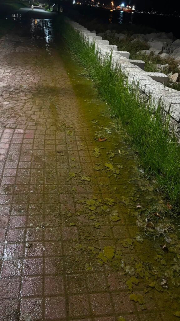 Πάτρα: Λιμνάζοντα νερά και δυσοσμία στο «σήμα κατατεθέν» της πόλης ΦΩΤΟ
