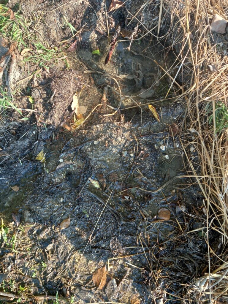 Καμίνια: Το νερό τρέχει, ανεξέλεγκτα, δίπλα στο Κοιμητήριο, εδώ κι έναν χρόνο ΦΩΤΟ 6 Καμίνια: Το νερό τρέχει, ανεξέλεγκτα, δίπλα στο Κοιμητήριο, εδώ κι έναν χρόνο ΦΩΤΟ