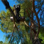 Δυτική Αχαΐα: Απομάκρυνση ξερών χόρτων και εύφλεκτων υλικών με τον φόβο πυρκαγιών ΦΩΤΟ